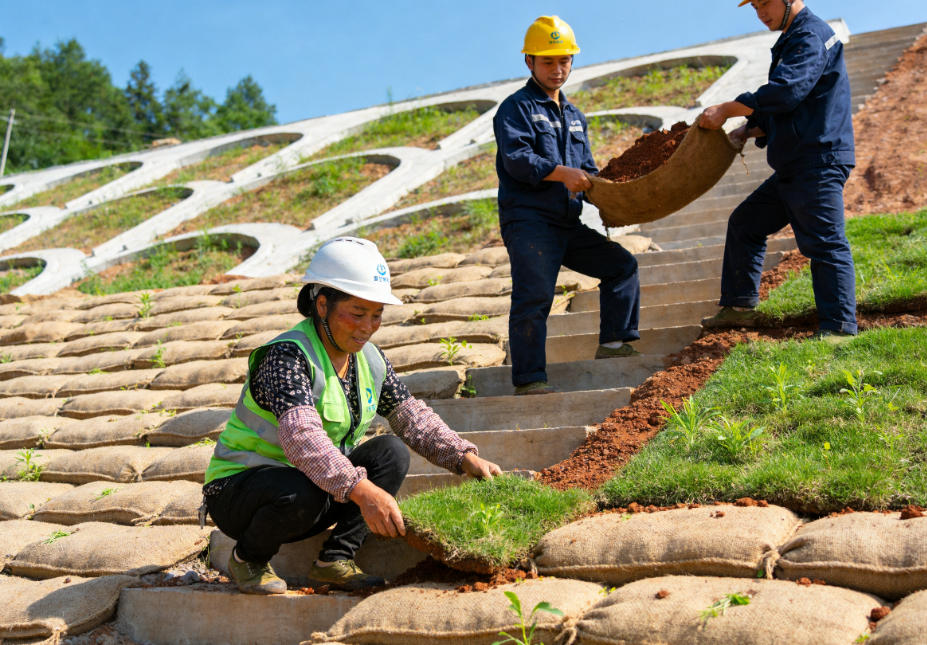 石岐区街道植生袋护坡